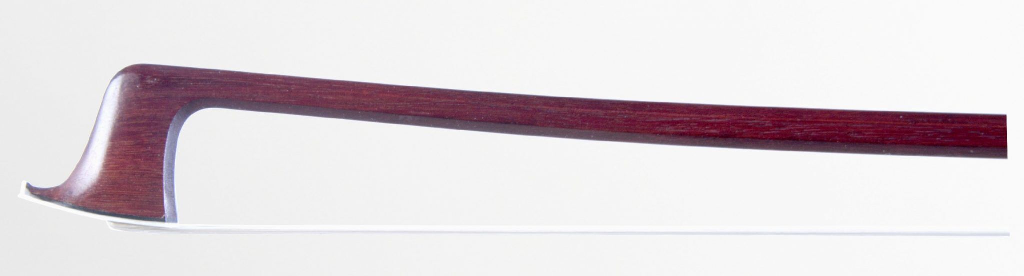 *Lothar Seifert*, Ivory Frog