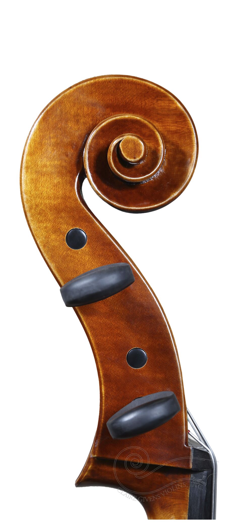 Cello: Paolo Lorenzo 2025 - Image 3