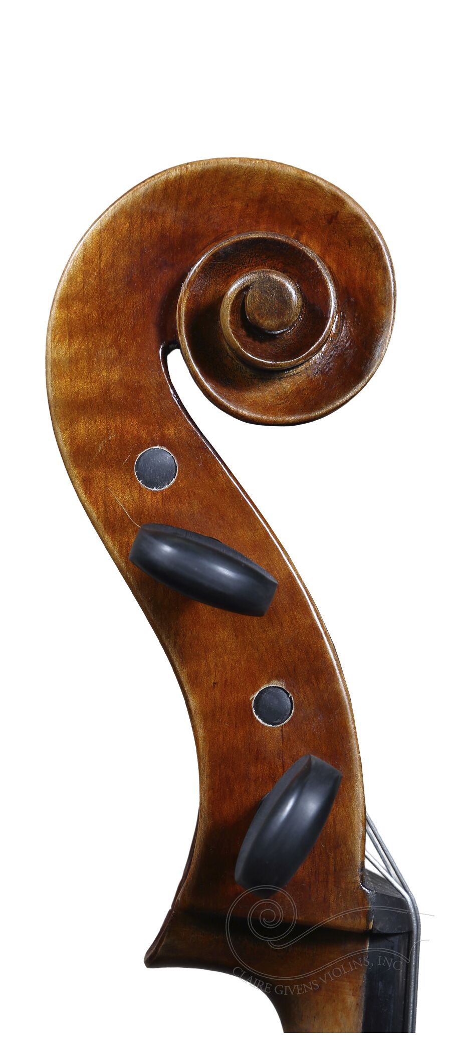Cello: Sandro Luciano, 2023 - Image 3