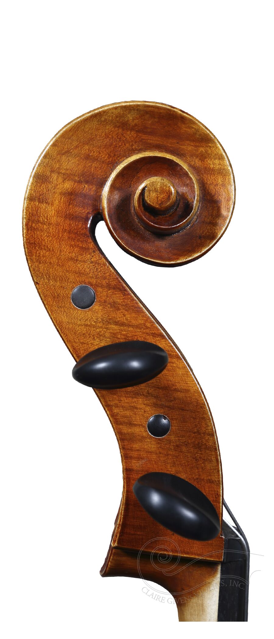 Bieg Lutherie Workshop, Germany 2022 - Image 3