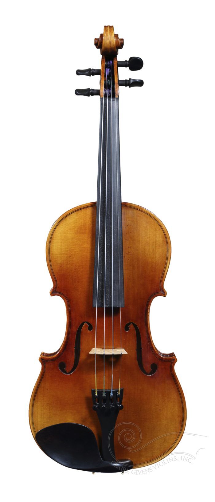 Fine Violins for Sale | Minneapolis, MN | Claire Givens Violins