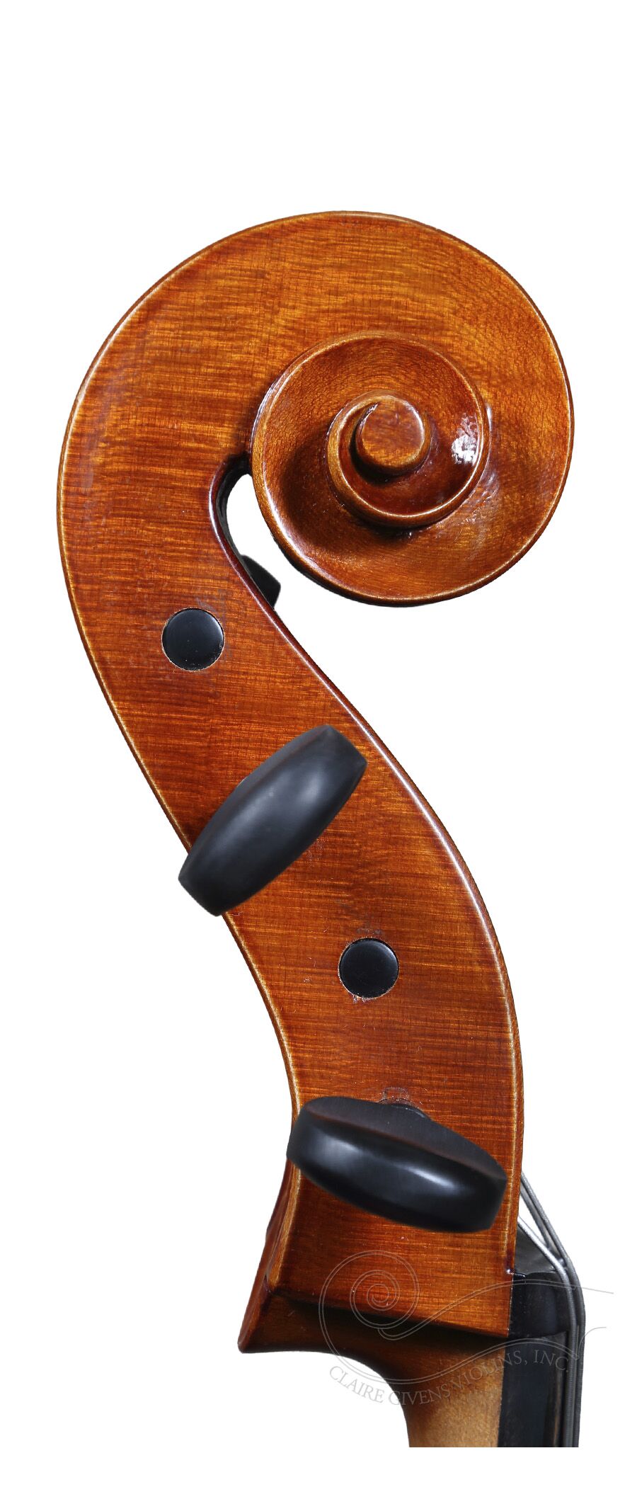 Calin Wultur, Reghin 2025 #5 - Image 3